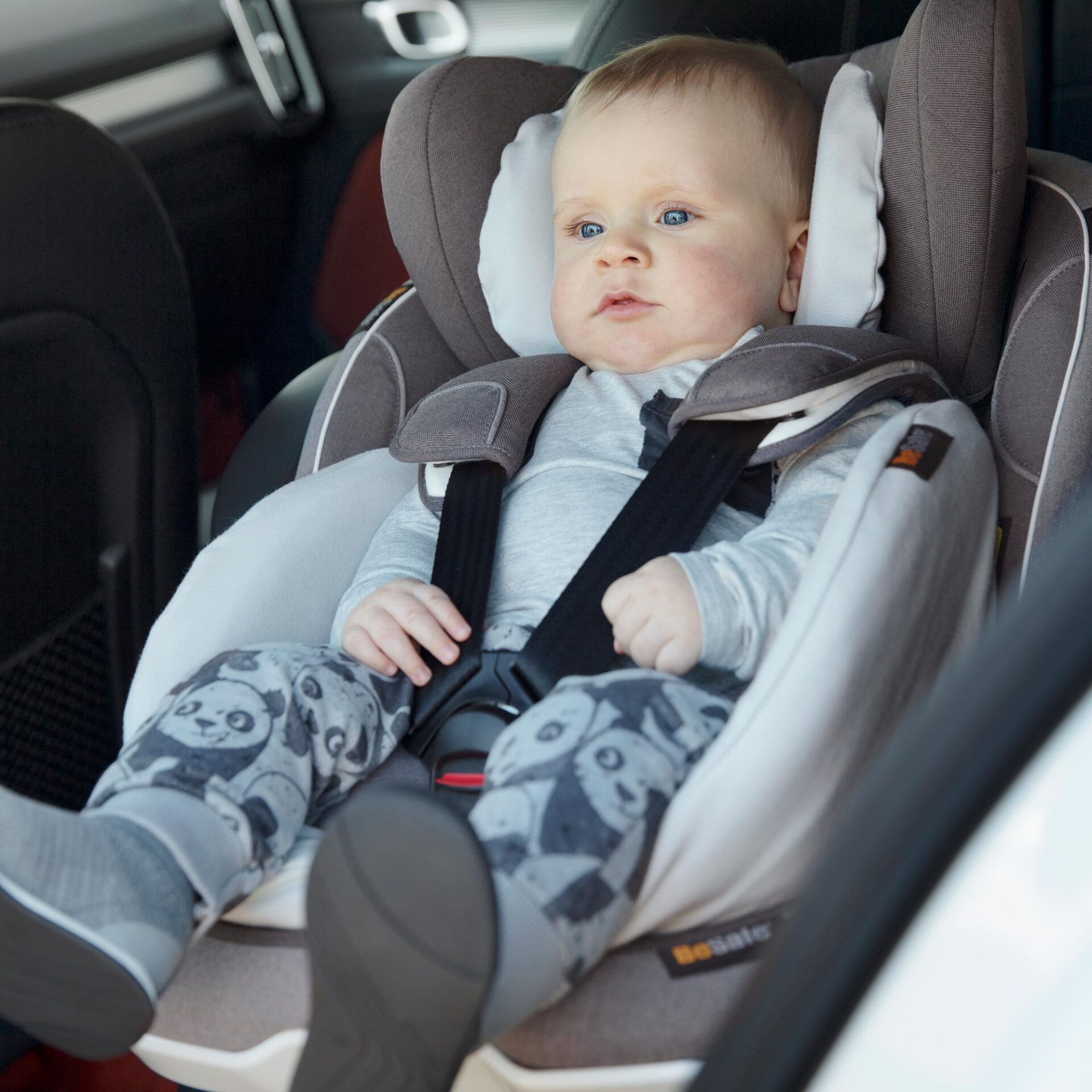besafe-cover-per-riduttore-baby-izi-go-modular-rivestimento image 3