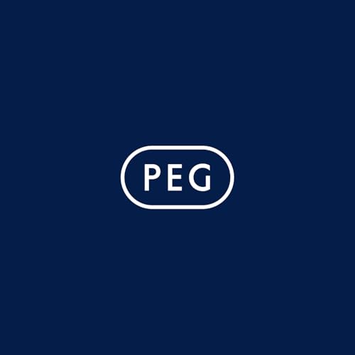 peg-perego-adattatori-primo-viaggio-per-passeggino-selfie image 6